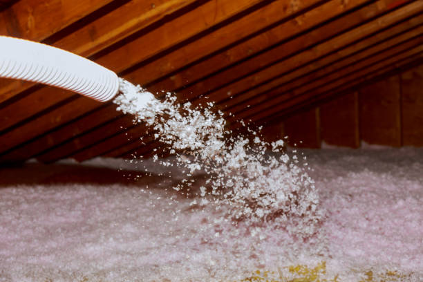 Best Affordable Insulation Services  in Fremont, OH