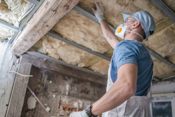 Insulation Replacement Services in Fremont, OH