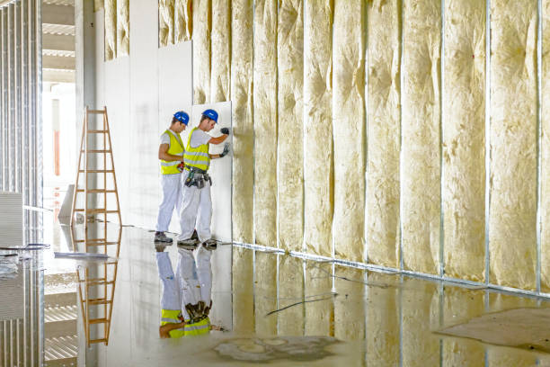 Best Cellulose Insulation  in Fremont, OH